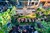 Free Garden Festival in the heart of Altrincham 13th August